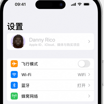 新都appleID维修服务iPhone设置中Apple ID显示为灰色无法使用