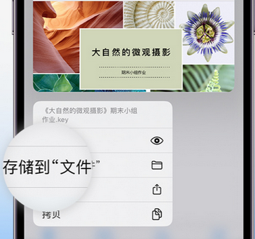 新都apple维修中心分享iPhone文件应用中存储和找到下载文件