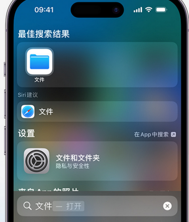 新都apple维修中心分享iPhone文件应用中存储和找到下载文件 