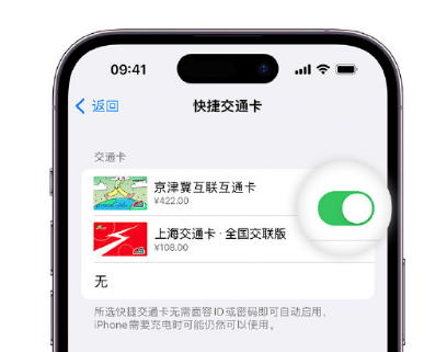 新都apple维修点分享iPhone上更换Apple Pay快捷交通卡手绘卡面 