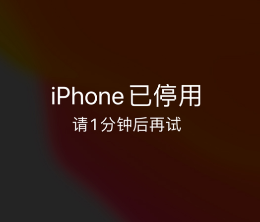 新都苹果手机维修分享:iPhone 显示“不可用”或“已停用”怎么办？还能保留数据吗？ 