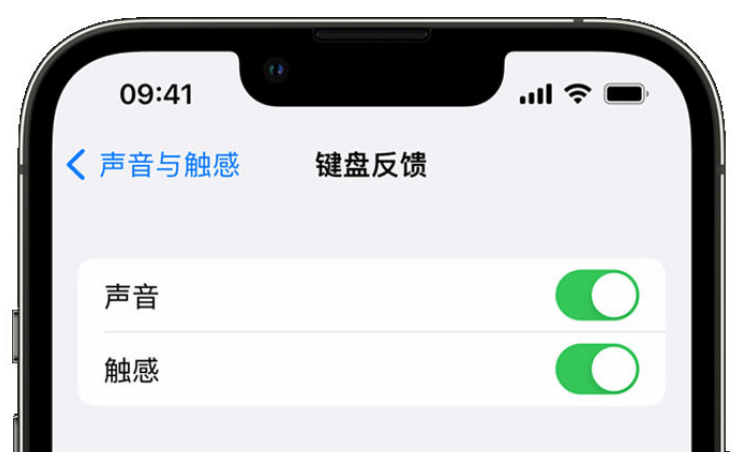 新都苹果手机维修分享iPhone 14触感键盘使用方法 