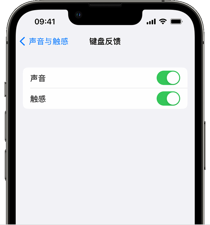 新都苹果14维修店分享如何在 iPhone 14 机型中使用触感键盘 