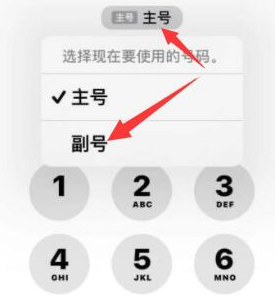 新都苹果14维修店分享iPhone 14 Pro Max使用副卡打电话的方法 