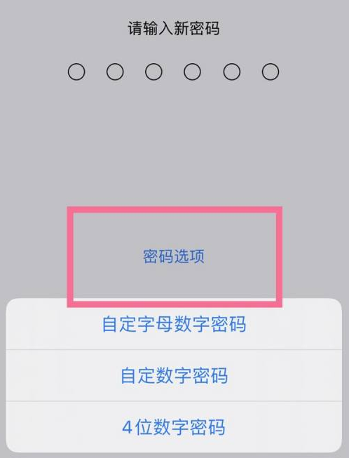 新都苹果14维修分享iPhone 14plus设置密码的方法 