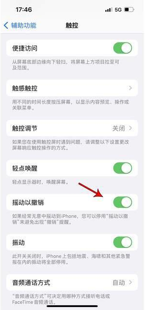 新都苹果手机维修分享iPhone手机如何设置摇一摇删除文字 